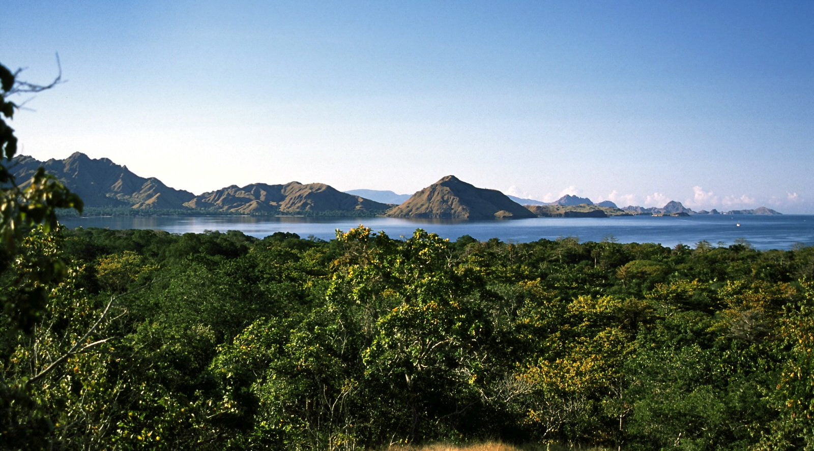 KOMODO PAYSAGE 2