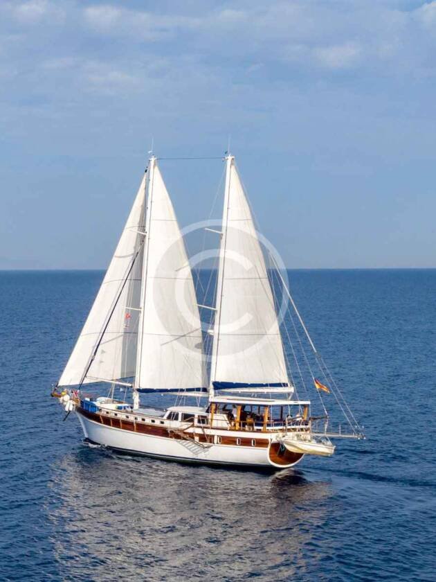 Sark Shenandoah