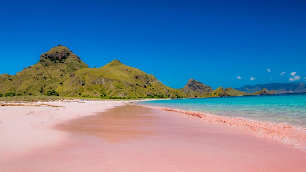 pink-beach-01