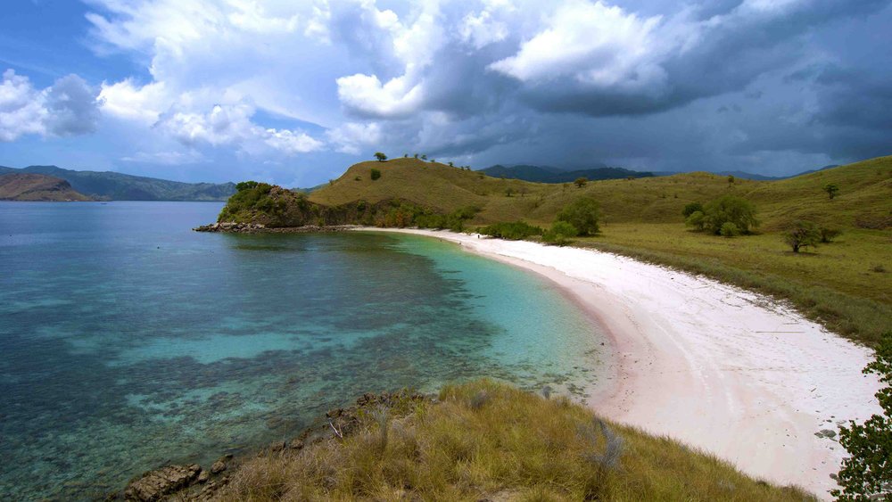 pink-beach-03