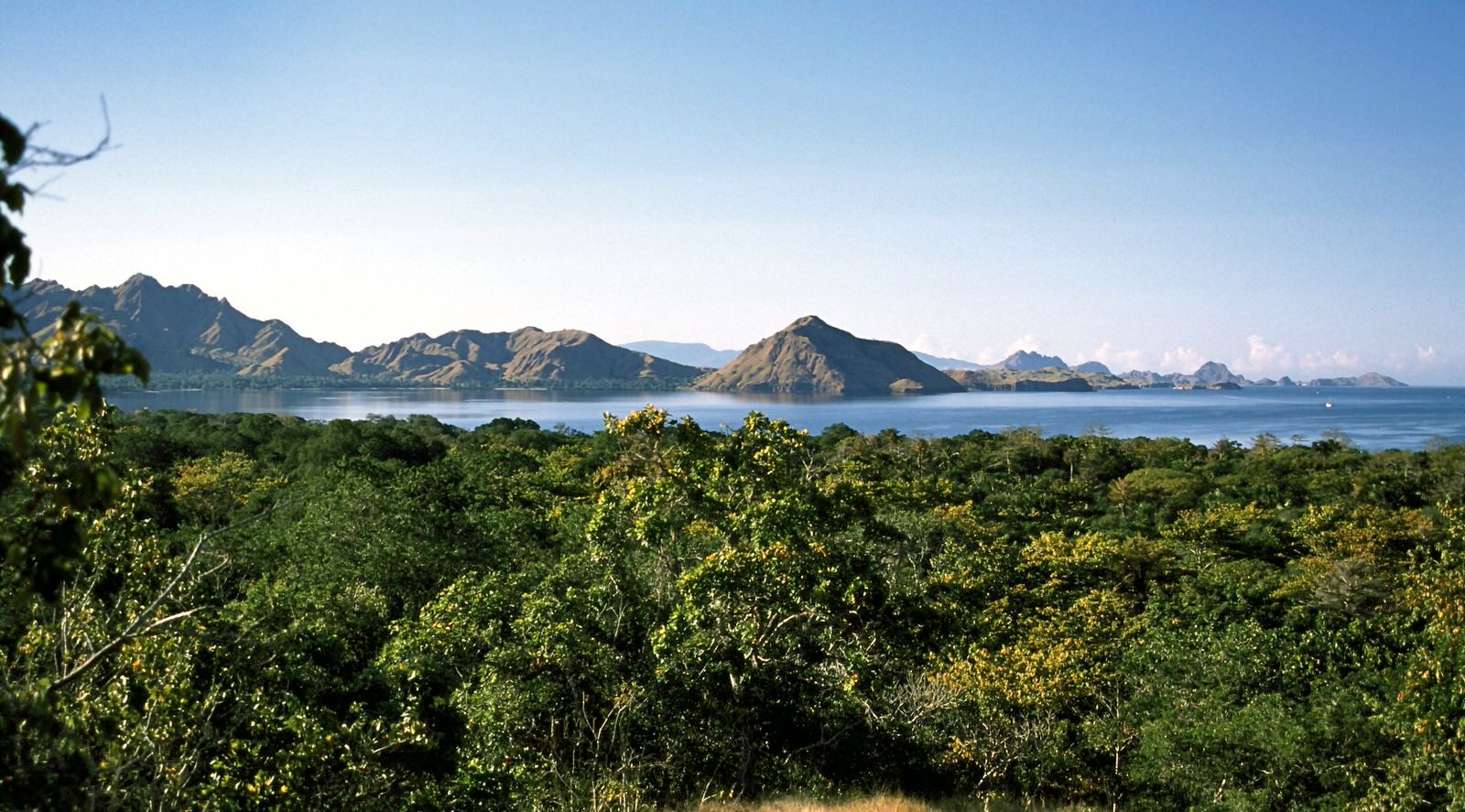 KOMODO PAYSAGE 2